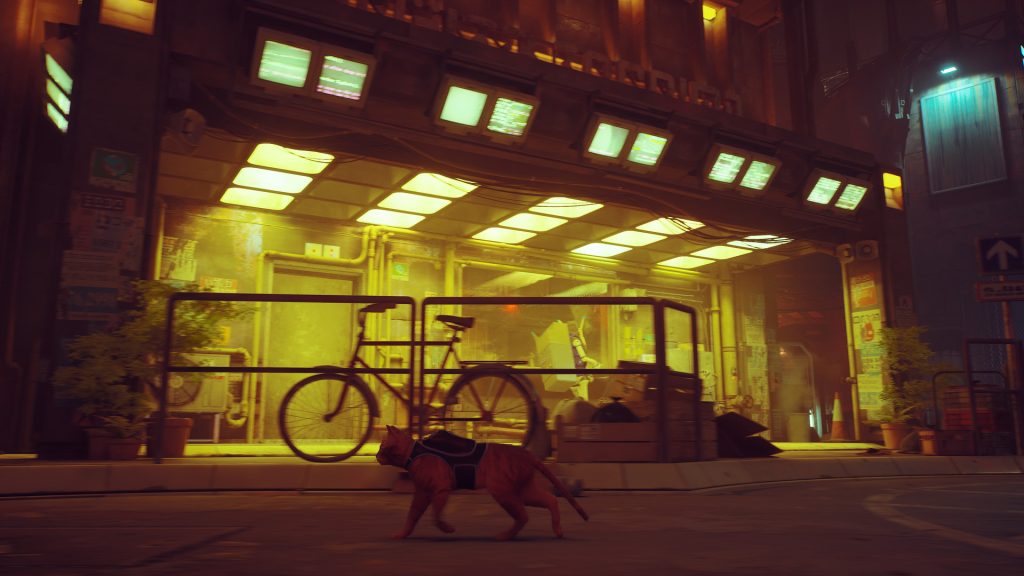 Stray – galériakép 4